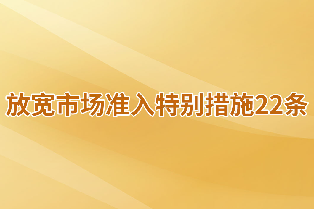 放宽市场准入特别措施22条