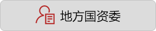 地方国资委