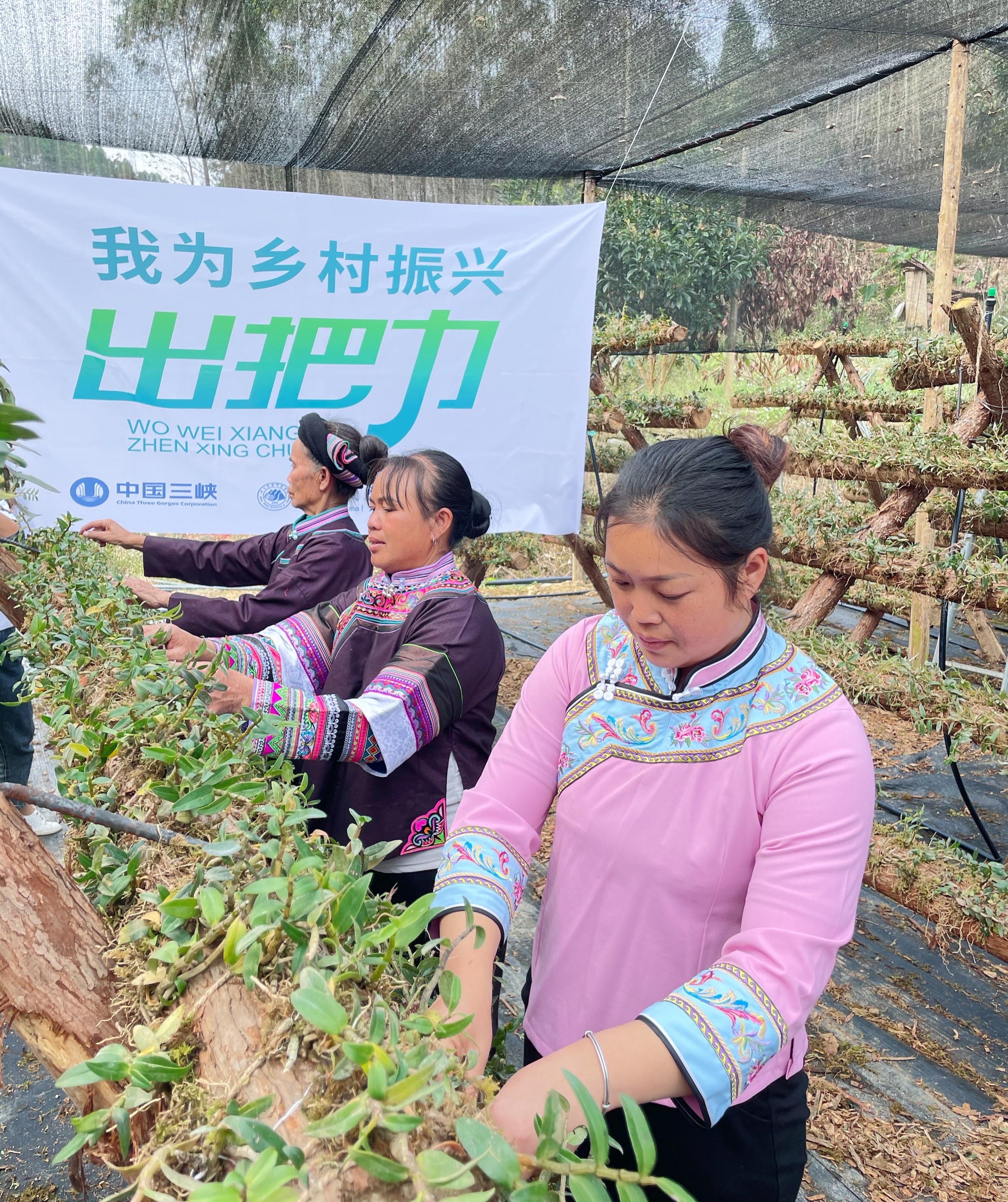 我为乡村振兴出把力3.jpg