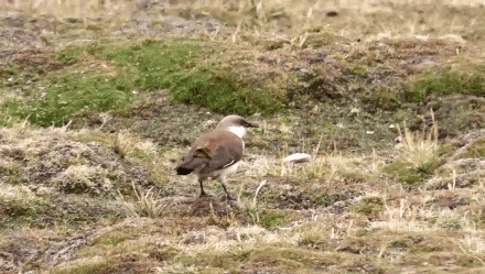 640 (1).gif