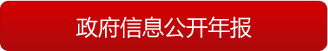 政府信息公开年报