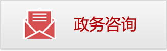 政务咨询