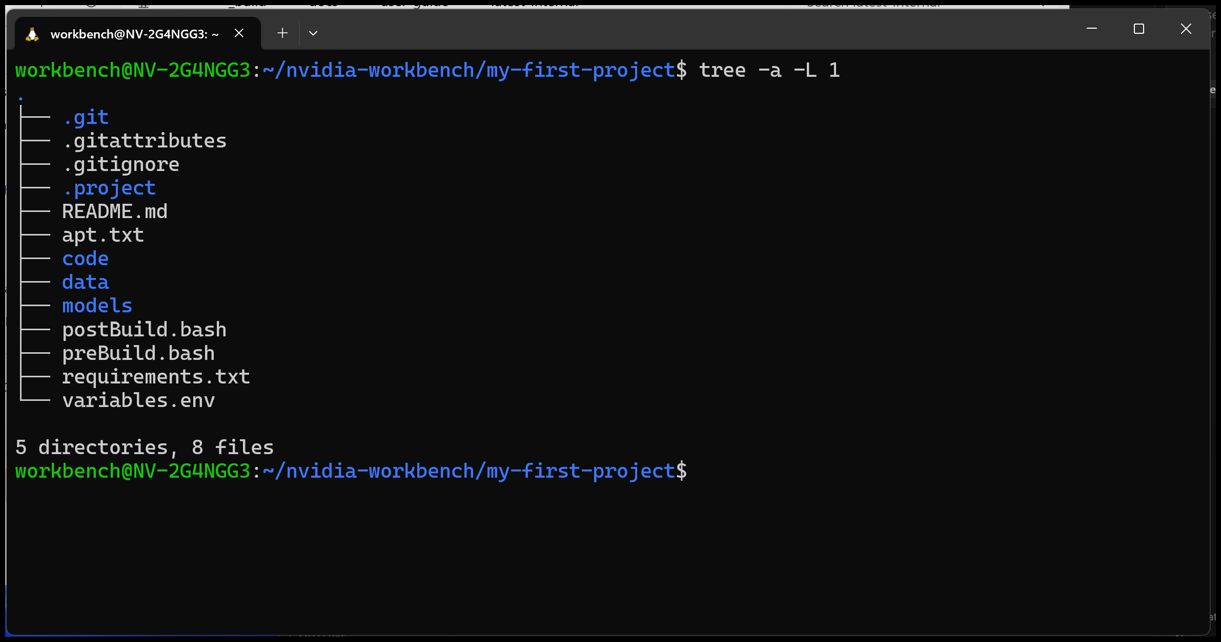 Diagram of the folder structure of a Workbench project showing the .project folder with spec.yaml, requirements.txt, apt.txt, preBuild.sh, and postBuild.sh files, as well as the src folder with the project code.