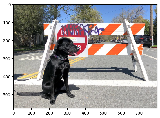 ../_images/101-tensorflow-classification-to-openvino-with-output_19_1.png