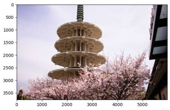 ../_images/202-vision-superresolution-image-with-output_15_1.png