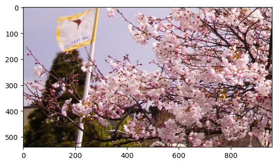 ../_images/202-vision-superresolution-image-with-output_17_1.png