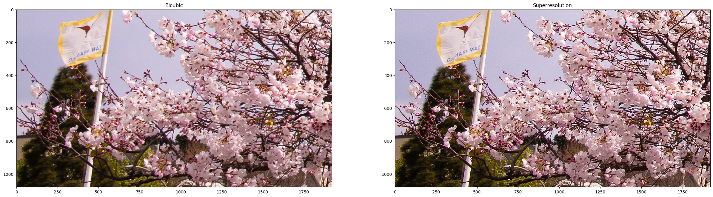 ../_images/202-vision-superresolution-image-with-output_23_1.png