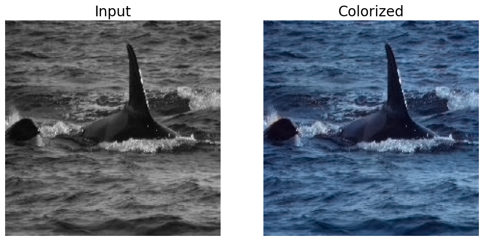 ../_images/222-vision-image-colorization-with-output_21_0.png