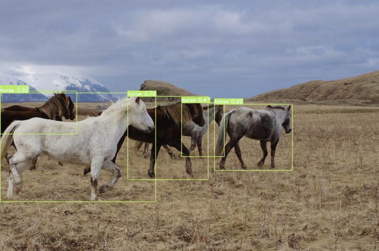 ../_images/226-yolov7-optimization-with-output_27_0.png