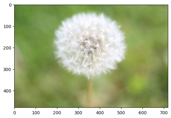 ../_images/301-tensorflow-training-openvino-nncf-with-output_27_1.png