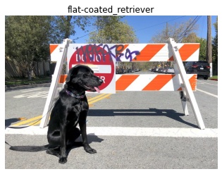 _images/get_started_with_cpp.jpg