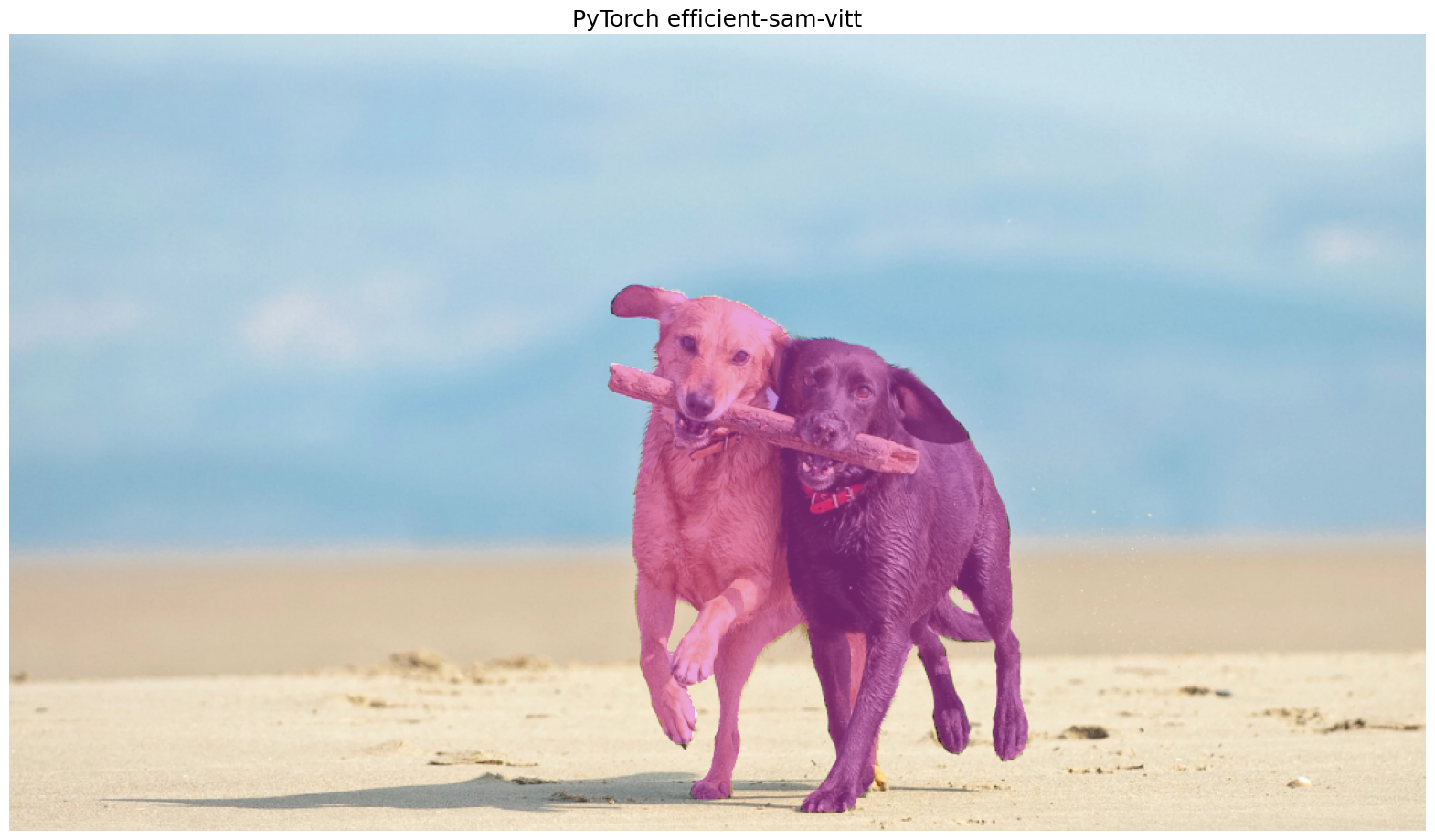 ../_images/efficient-sam-with-output_17_1.png
