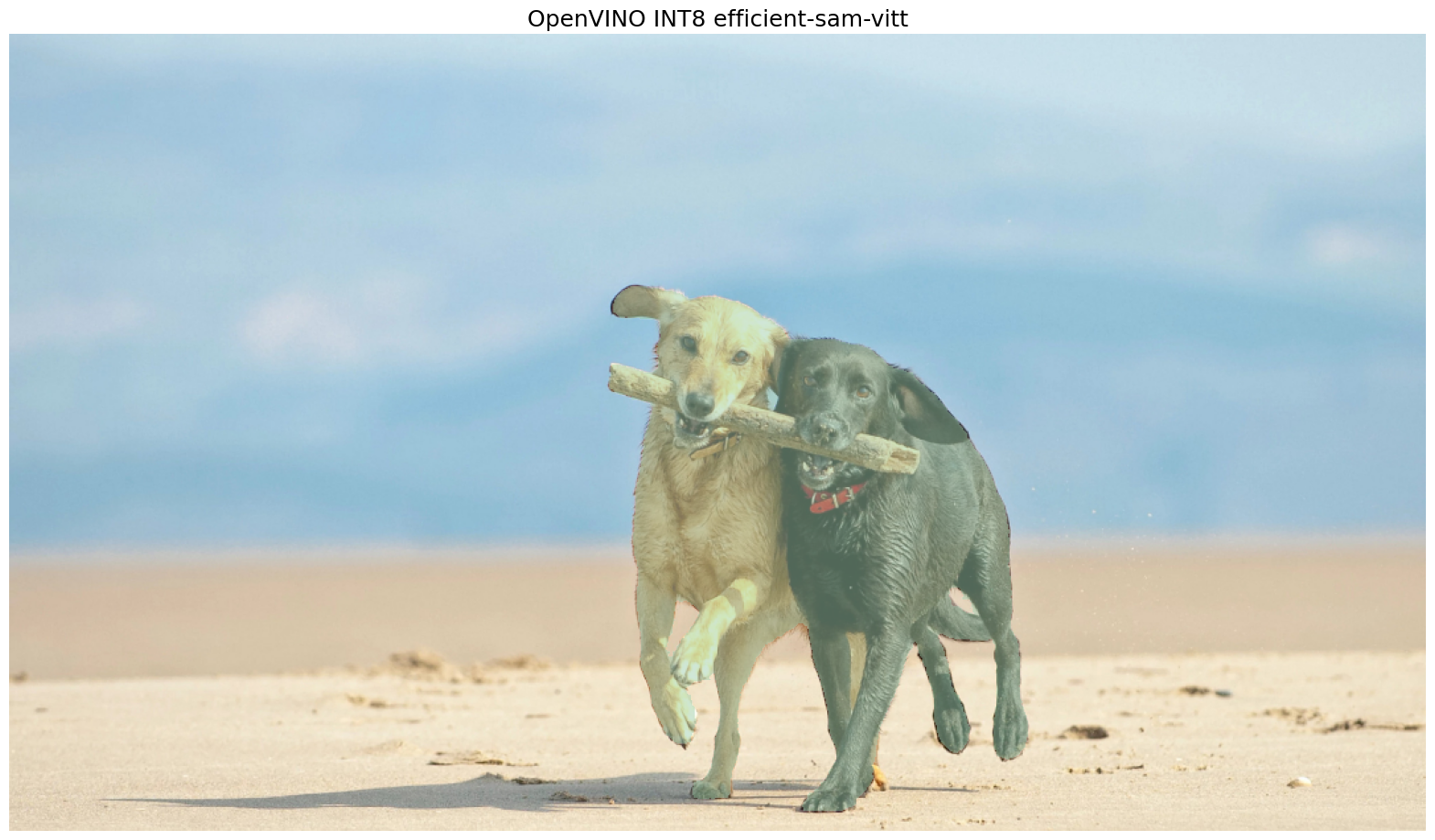 ../_images/efficient-sam-with-output_36_1.png