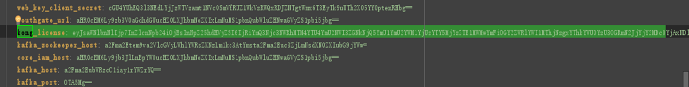 Kong license