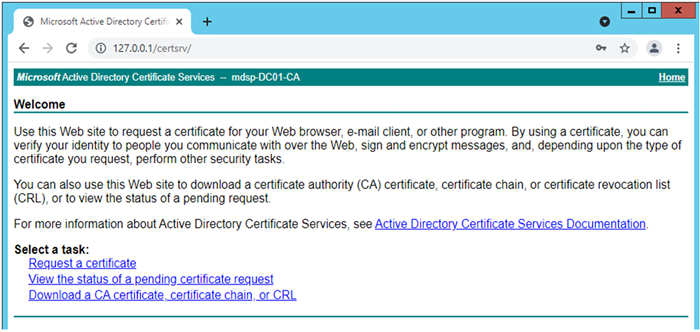 Web interface