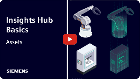 Insights Hub basics - Assets
