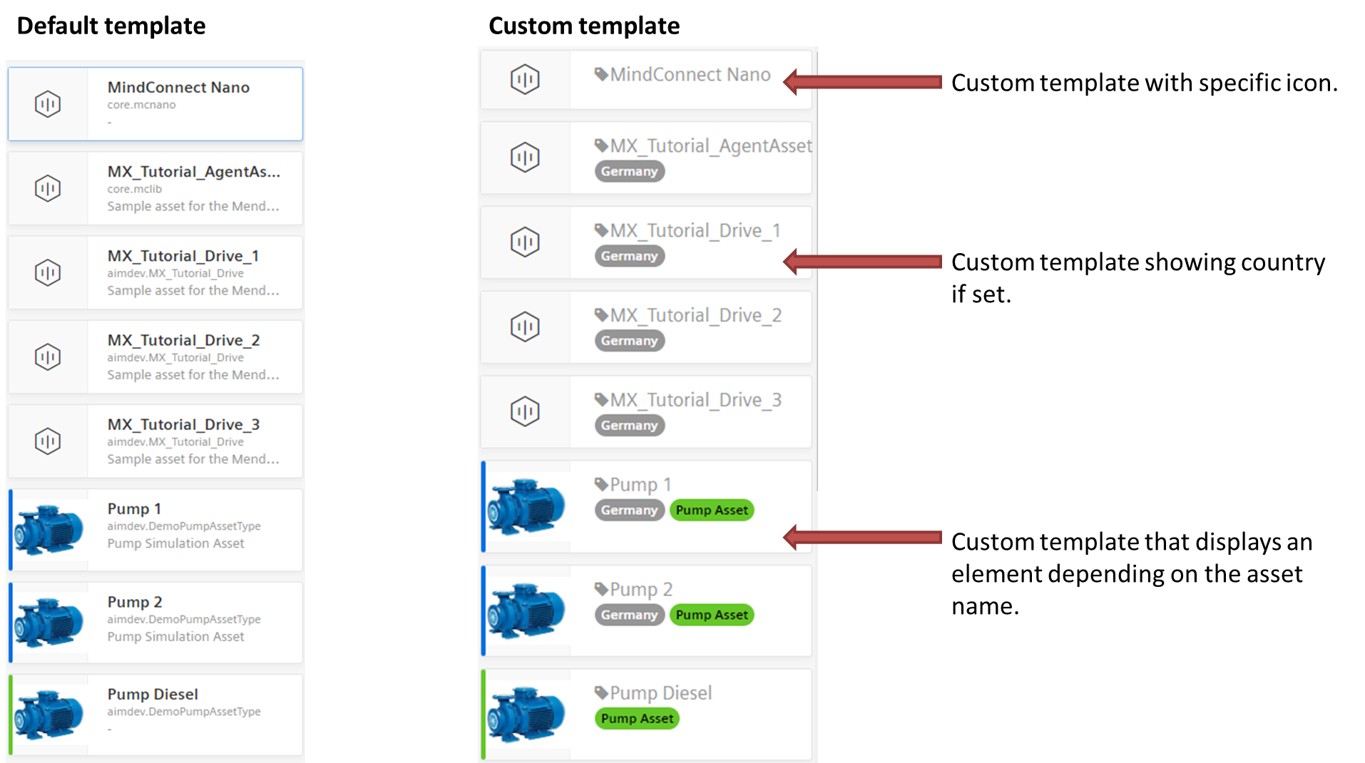 Custom template for asset view