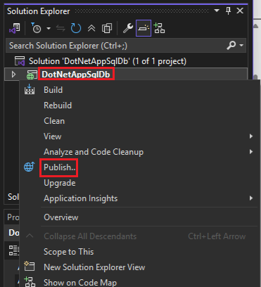 Publish from Solution Explorer