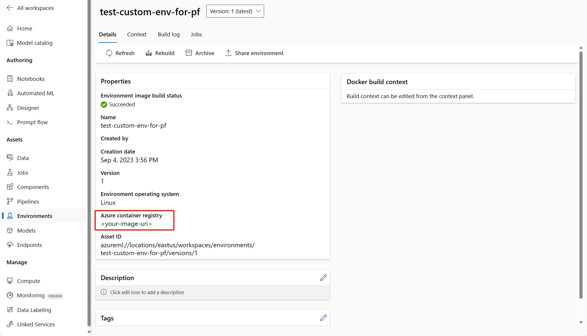 Screenshot of custom environment detail page. 