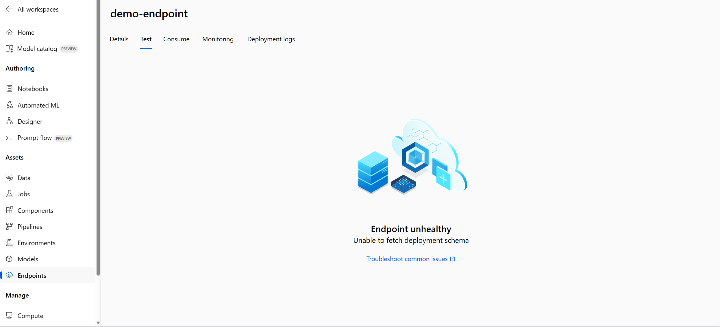 Screenshot of the error unable to fetch deployment schema in Test tab in endpoint detail page. 