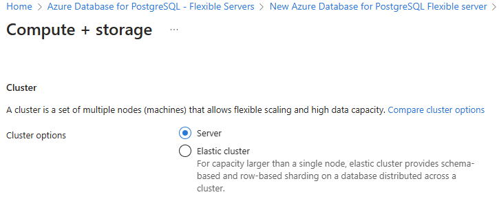 Screenshot of the top section of Compute + storage configuration page. Server is selected. Elastic cluster is cleared.