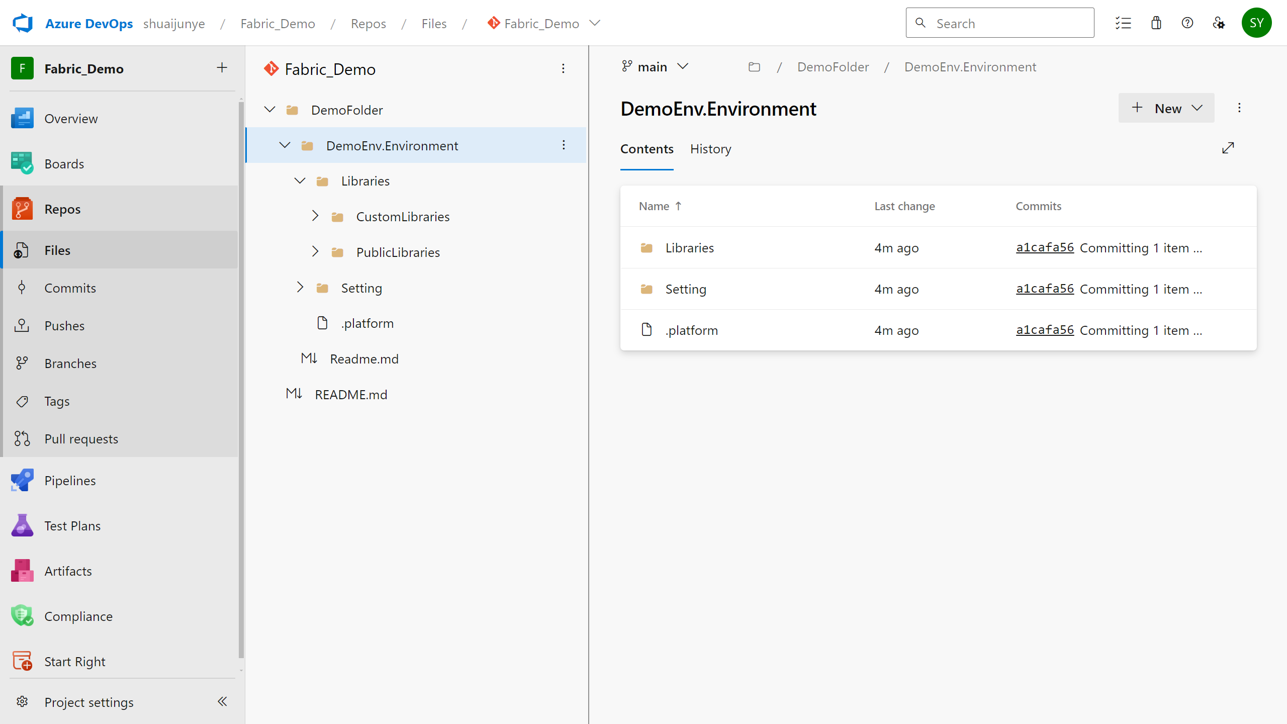 Screenshot that shows the local representation of the environment in Git.