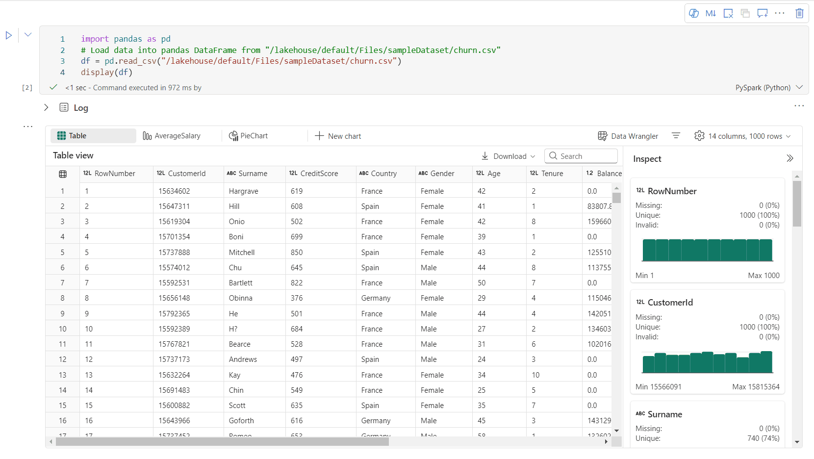 Animated GIF of rich dataframe preview.