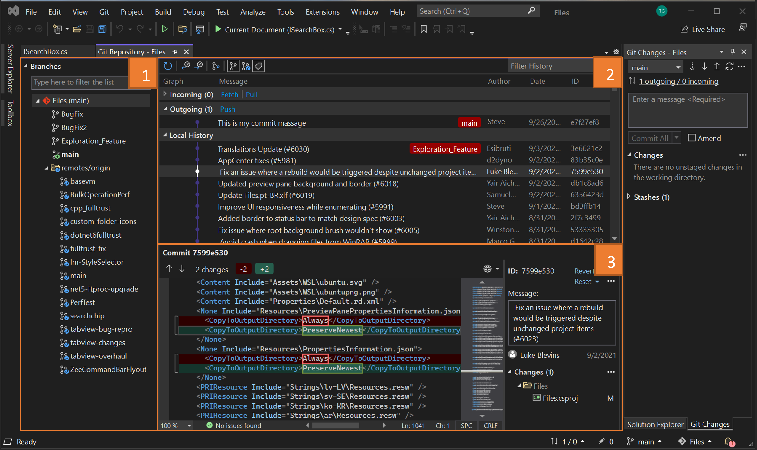 Screenshot that shows the anatomy of the Git Repository window.