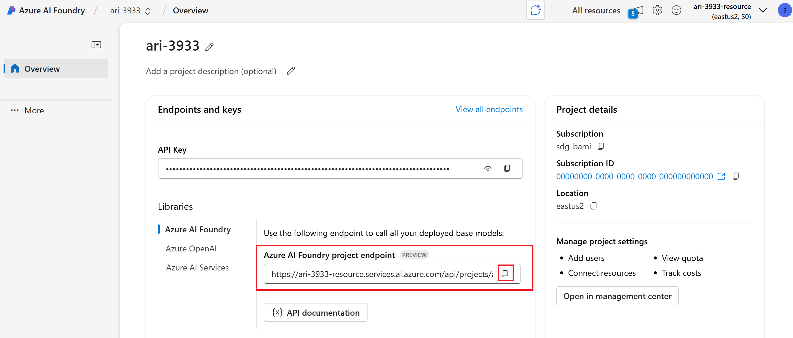 Foundry プロジェクトのプロジェクトの概要を示すスクリーンショット。