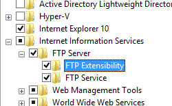 Windows 8 で選択されている F T P 拡張機能を示すスクリーンショット。