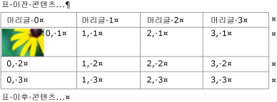 텍스트 컨테이너에서 이미지가 있는 포함된 표