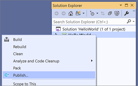 Visual Studio 发布上下文菜单