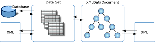 XML 数据集