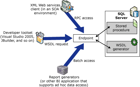 本机 XML Web 服务的工作方式