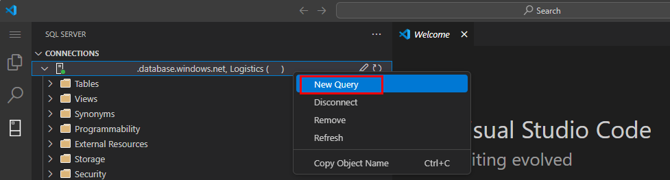 Visual Studio Code 的 mssql 扩展中“连接”下的“新建查询”选项的屏幕截图。