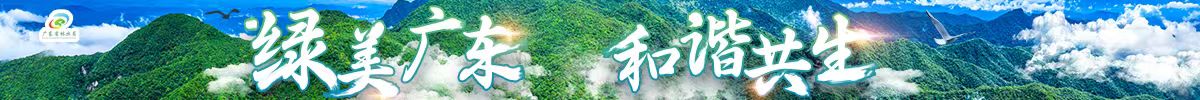 绿美广东