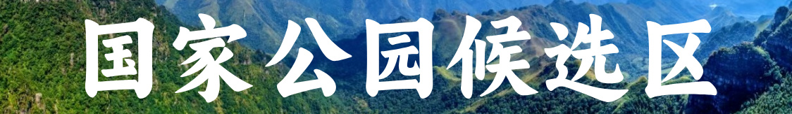 国家公园候选区