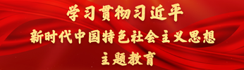 学习贯彻习近平新时代中国特色社会主义思想主题教育
