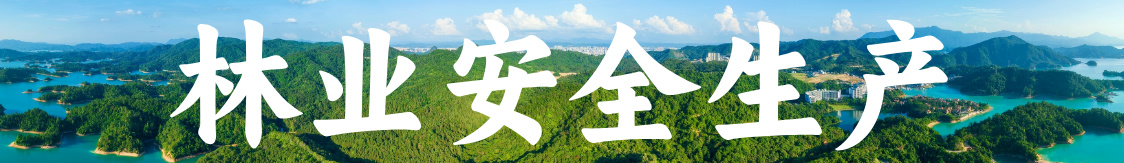 林业生产安全