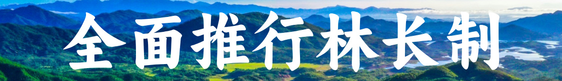 全面推行林长制度