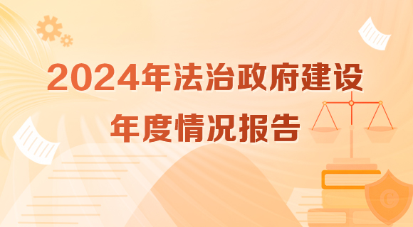 2024年法治政府建设年度情况报告