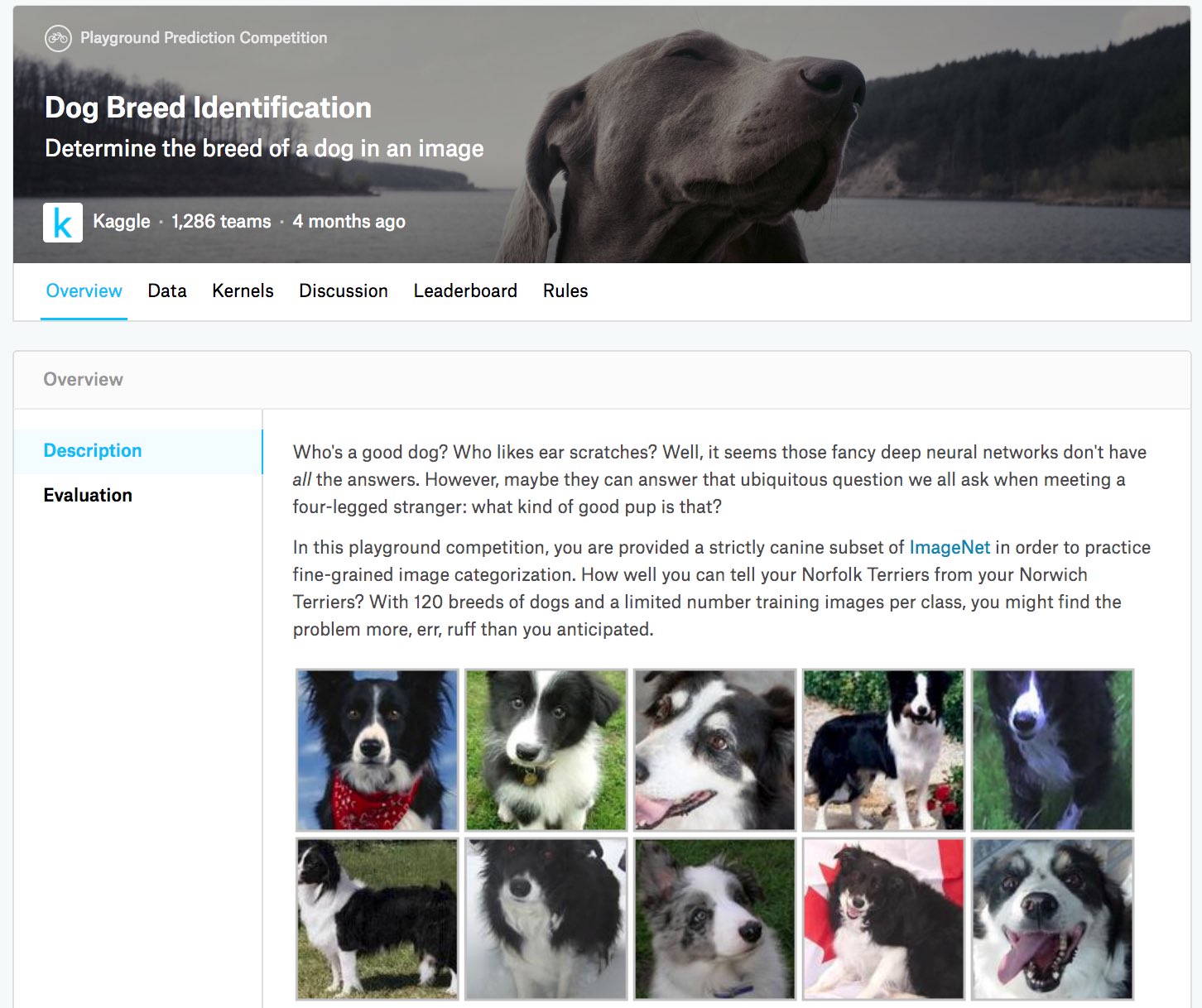 ../_images/kaggle-dog.jpg